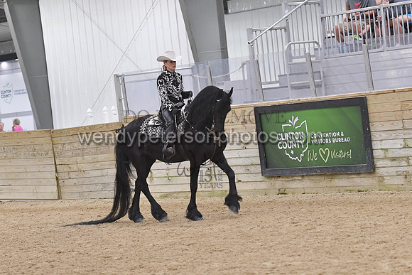 070_9130-Do_not_copy_PROOF