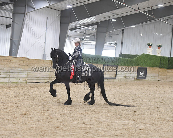 070_9138-Do_not_copy_PROOF