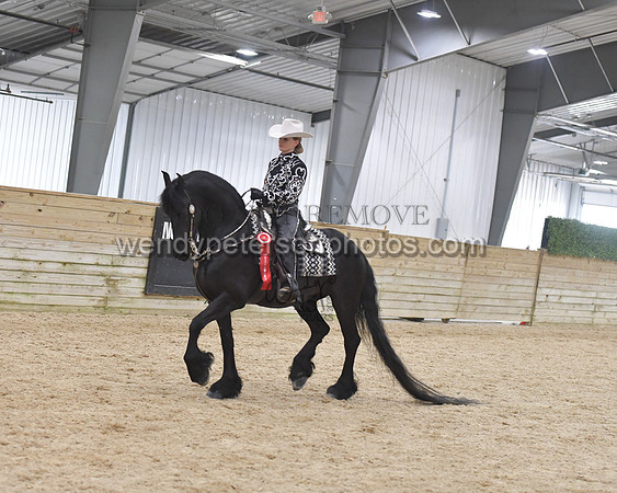 070_9139-Do_not_copy_PROOF