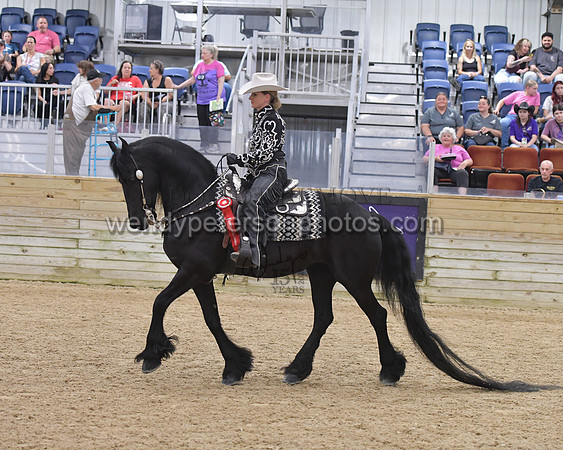 070_9142-Do_not_copy_PROOF