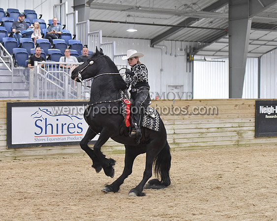 070_9141-Do_not_copy_PROOF