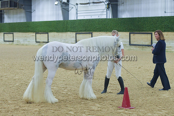 001_5368-Do_not_copy_PROOF