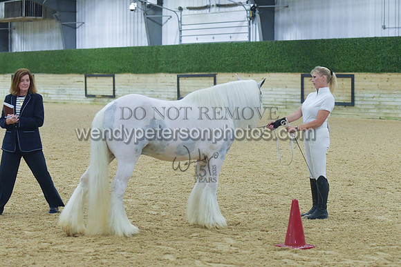 001_5369-Do_not_copy_PROOF
