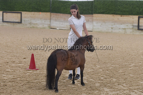 001_5394-Do_not_copy_PROOF