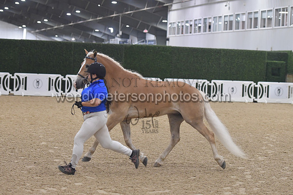 003_5536-Do_not_copy_PROOF