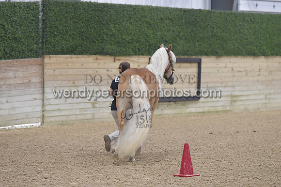 003_5579-Do_not_copy_PROOF
