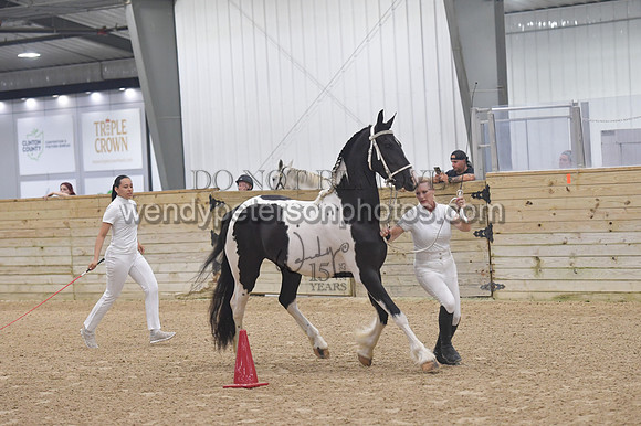 003_5628-Do_not_copy_PROOF