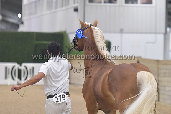 004_5673-Do_not_copy_PROOF