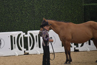 005 Small Fry 9U Showmanship