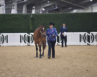 008 Standardbred Adult Showmanship