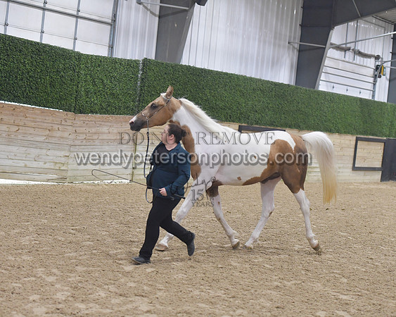 011_5919-Do_not_copy_PROOF