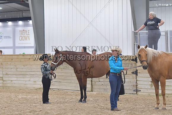 012_5973-Do_not_copy_PROOF