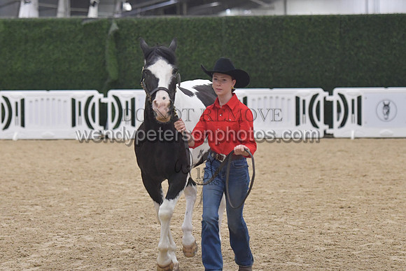 013_5987-Do_not_copy_PROOF
