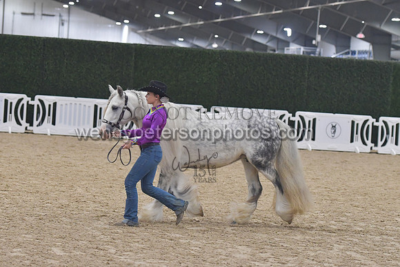 013_6003-Do_not_copy_PROOF