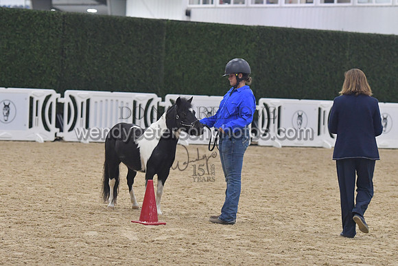 014_6039-Do_not_copy_PROOF