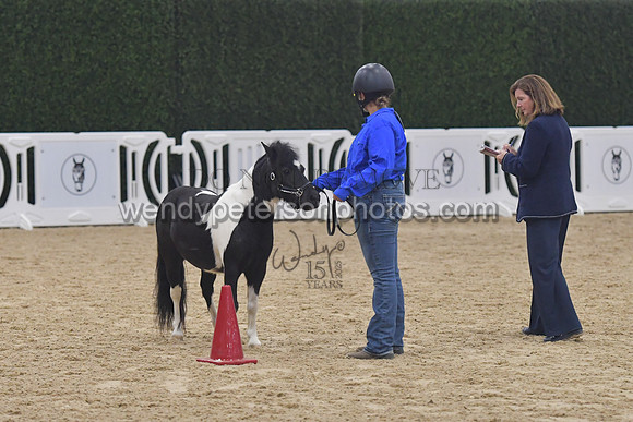 014_6040-Do_not_copy_PROOF