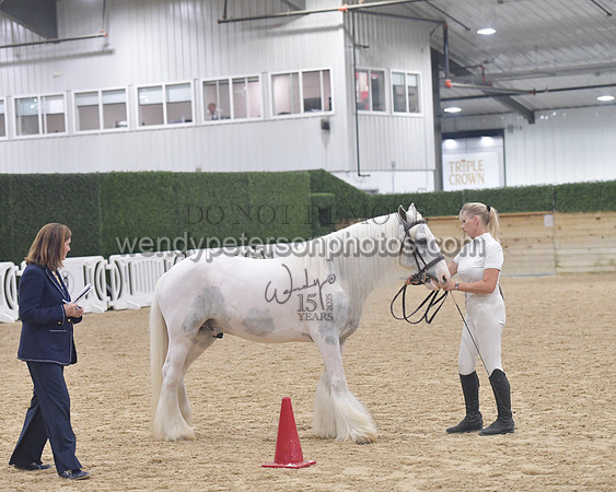 014_6053-Do_not_copy_PROOF