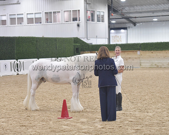 014_6054-Do_not_copy_PROOF
