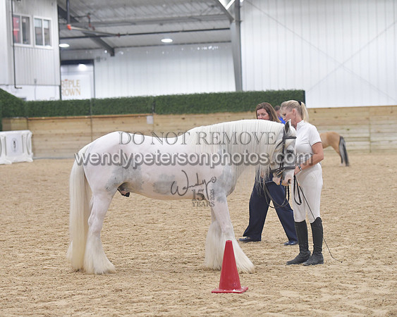 014_6052-Do_not_copy_PROOF