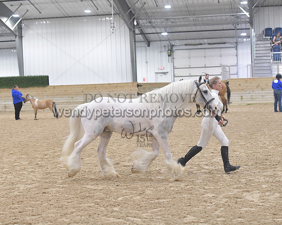 014_6055-Do_not_copy_PROOF