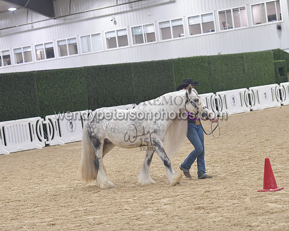 014_6057-Do_not_copy_PROOF