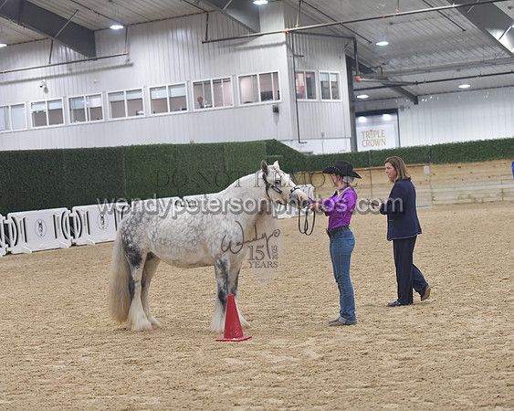 014_6058-Do_not_copy_PROOF