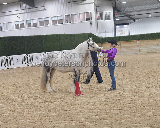 014_6059-Do_not_copy_PROOF