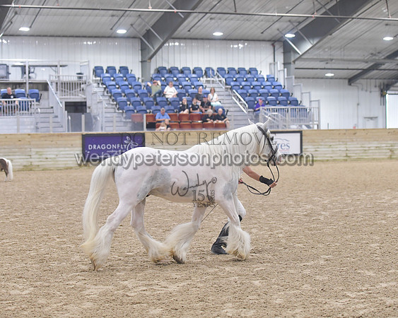 014_6056-Do_not_copy_PROOF