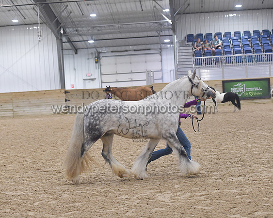 014_6064-Do_not_copy_PROOF