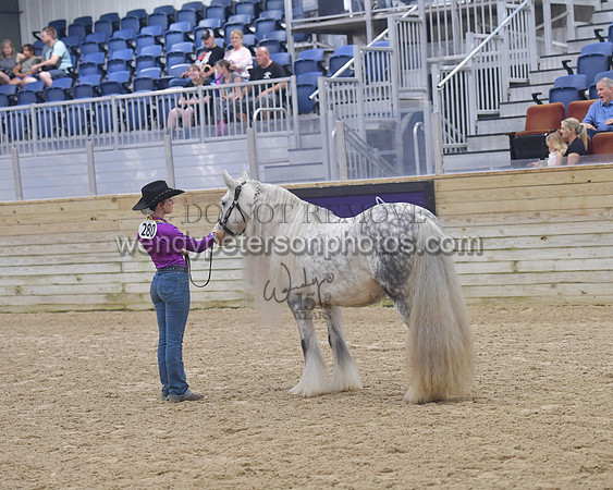 014_6067-Do_not_copy_PROOF
