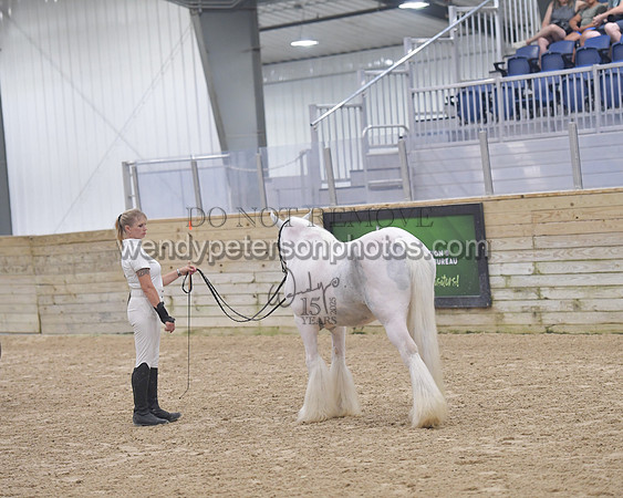 014_6068-Do_not_copy_PROOF
