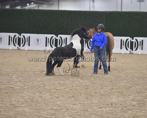014_6075-Do_not_copy_PROOF