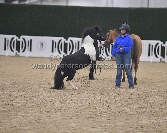 014_6074-Do_not_copy_PROOF