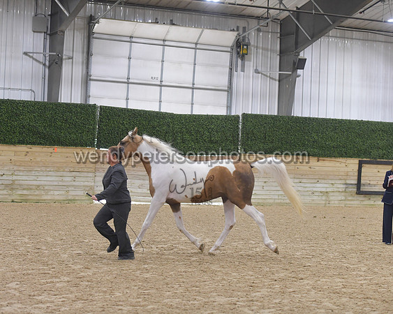 015_6093-Do_not_copy_PROOF