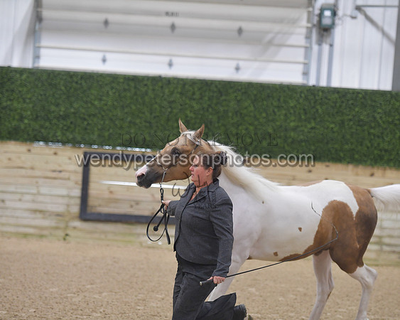 015_6094-Do_not_copy_PROOF
