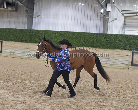 015_6099-Do_not_copy_PROOF