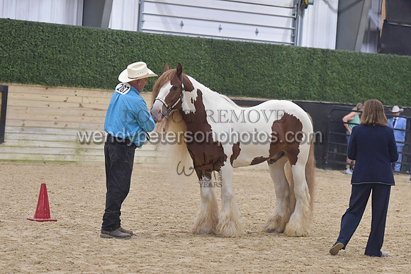 015_6103-Do_not_copy_PROOF