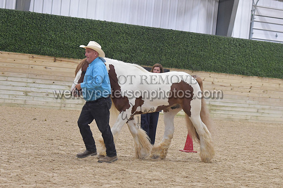 015_6104-Do_not_copy_PROOF