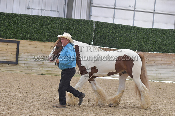 015_6105-Do_not_copy_PROOF