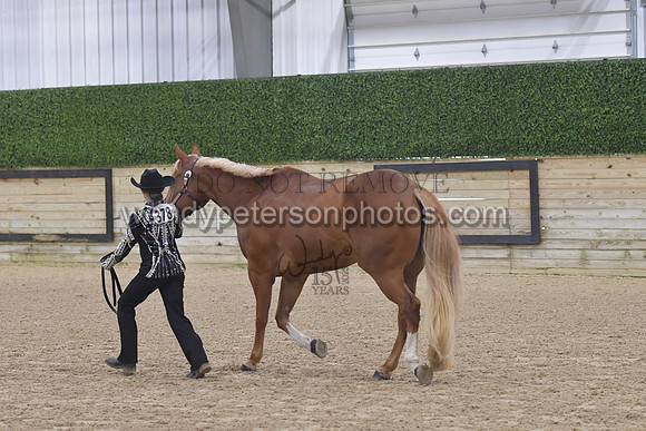 015_6142-Do_not_copy_PROOF