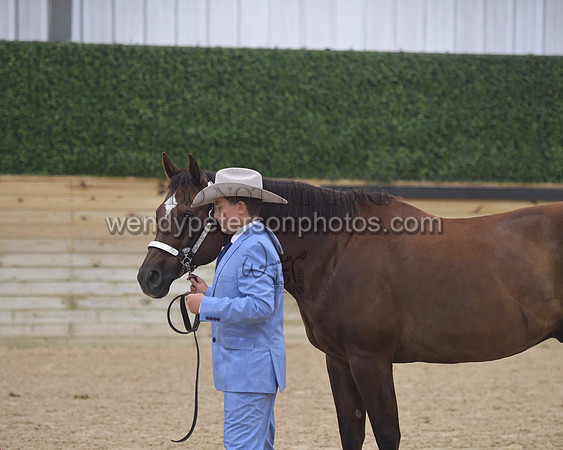 015_6145-Do_not_copy_PROOF