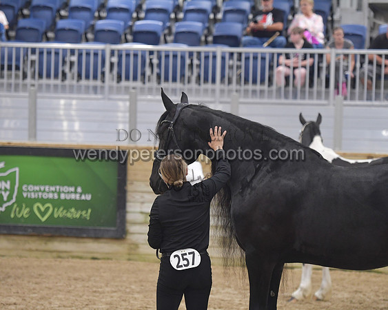 015_6186-Do_not_copy_PROOF