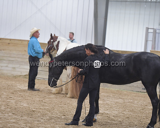 015_6187-Do_not_copy_PROOF