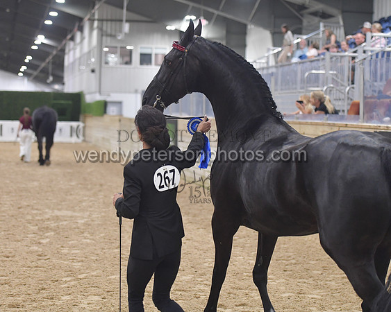 015_6193-Do_not_copy_PROOF
