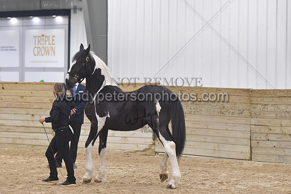 016_6221-Do_not_copy_PROOF