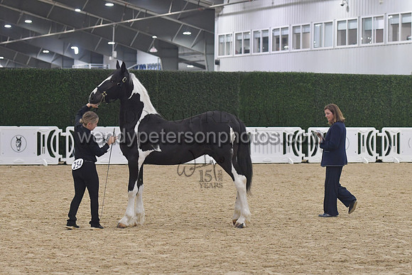 016_6224-Do_not_copy_PROOF