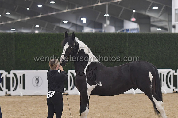 016_6226-Do_not_copy_PROOF