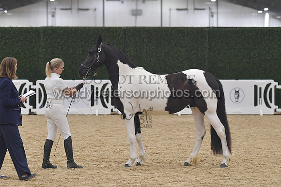 016_6229-Do_not_copy_PROOF