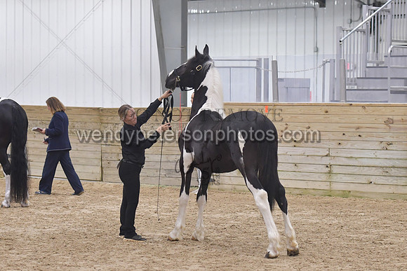 016_6215-Do_not_copy_PROOF