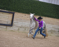 018 Feathered Horse Halter ALL